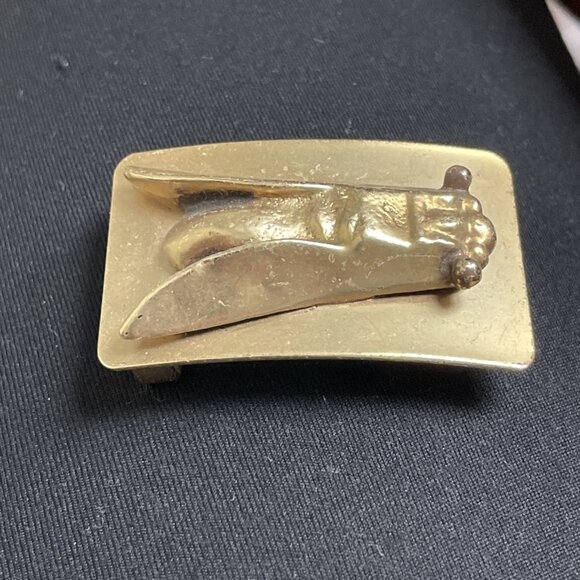 Rare Cicada Insect Bug Vintage Belt Buckle main image 7